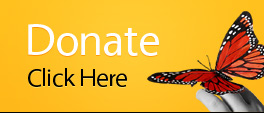 Donate by Paypal